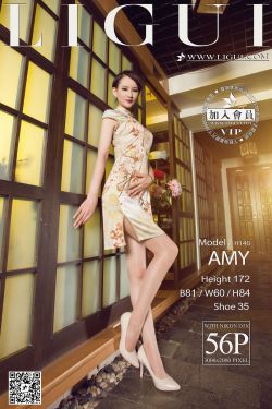 Model AMY《高贵旗袍美人》 [丽柜LiGui] 美腿玉足写真图片