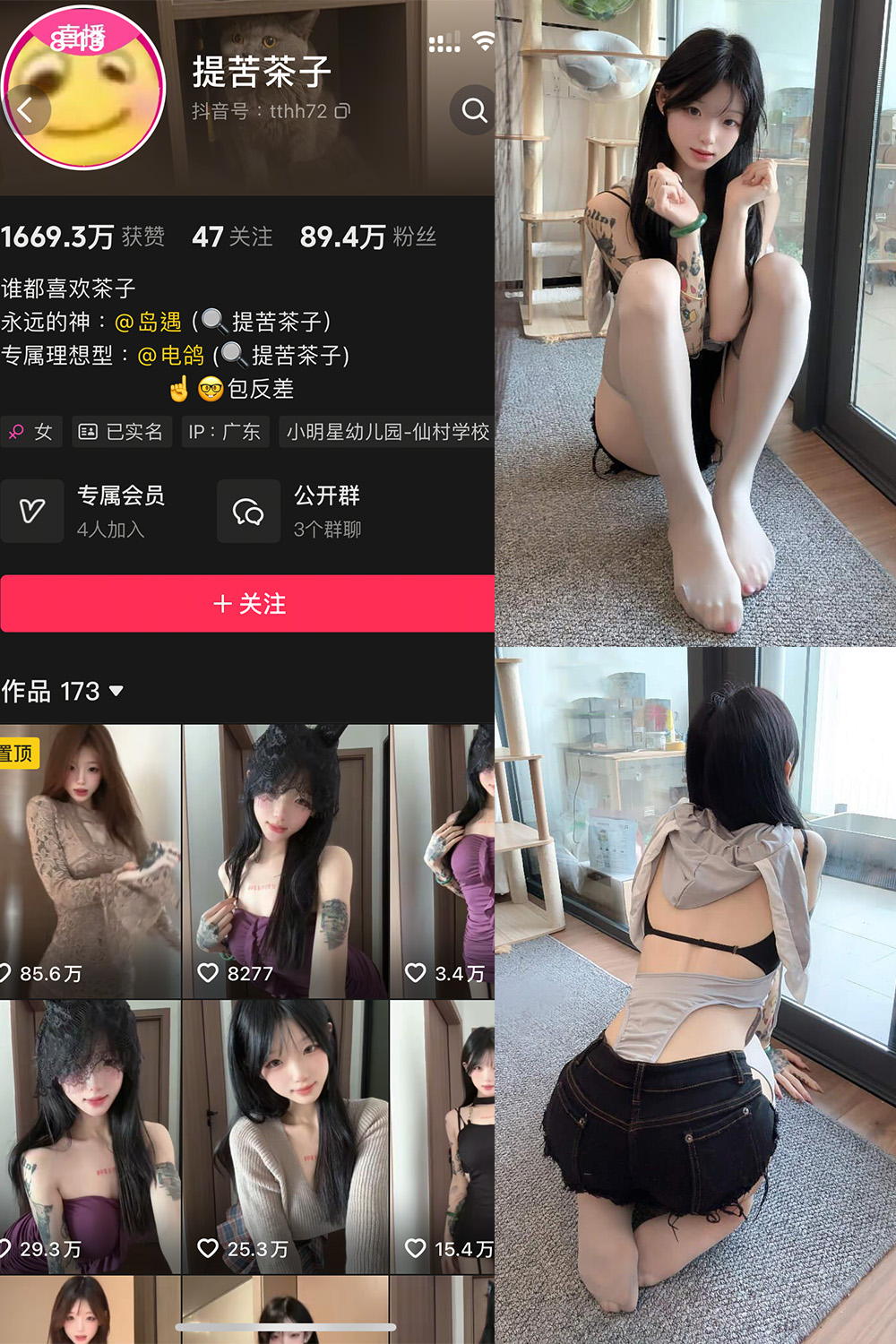 抖音 提苦茶子 岛遇 NO.004期 【1V】最新至：2025.7.4