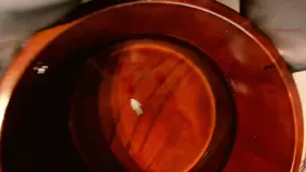 圈圈_丝足浴_丝足浴