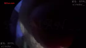 HYMAN_鱼眼镜头 HYMAN_鱼眼镜头