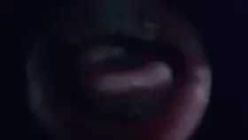 布鲁比呐呐_鱼眼镜头鱼眼镜头_3_1 布鲁比呐呐_鱼眼镜头鱼眼镜头_3_1