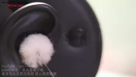 椰子_N清理耳朵后近距离天鹅