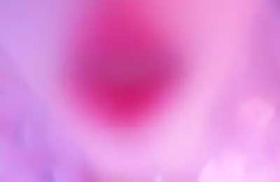 小羊24元旦梦幻的粉色芭比