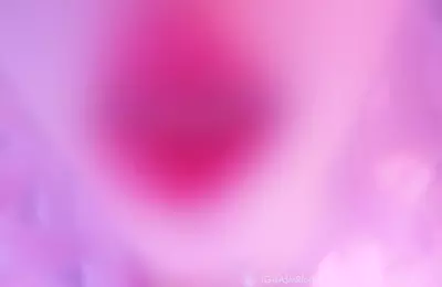 小羊喵_【祝哥哥2024元旦快乐】今天是梦幻的粉色芭比，希望哥哥会喜欢