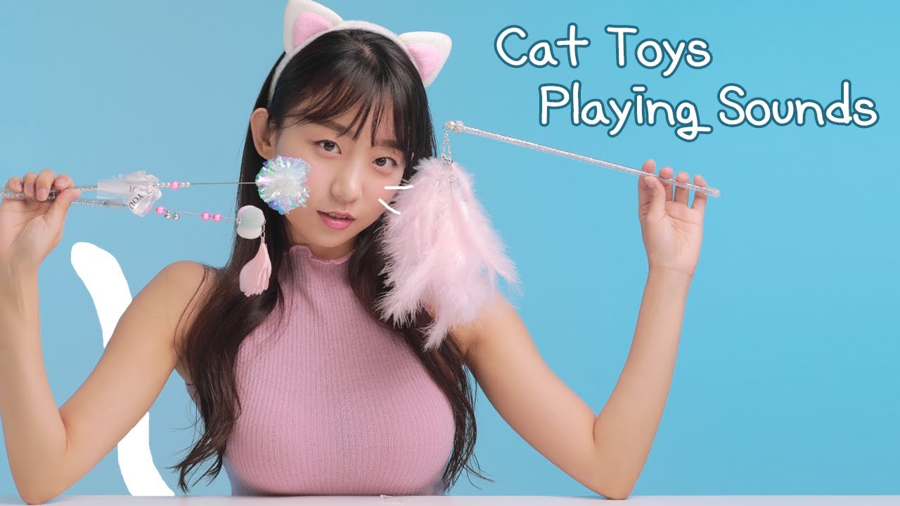 ASMR Milky羽毛和各种逗猫玩具的声音 ASMR Milky羽毛和各种逗猫玩具的声音