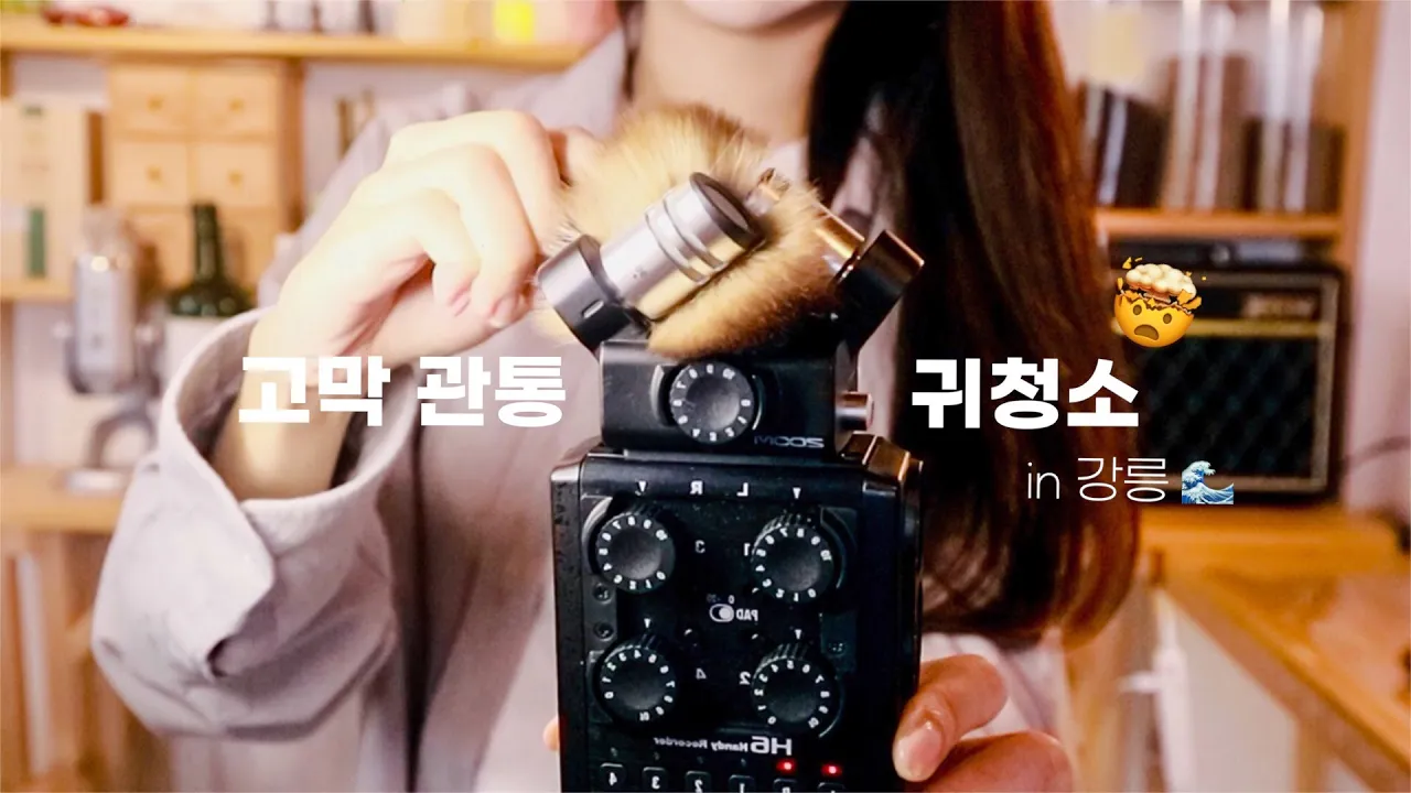 JINJER ASMR穿透耳膜最深处│精选的木耳塞│滴答声,嘎吱嘎吱响的金属丝 JINJER ASMR穿透耳膜最深处│精选的木耳塞│滴答声,嘎吱嘎吱响的金属丝