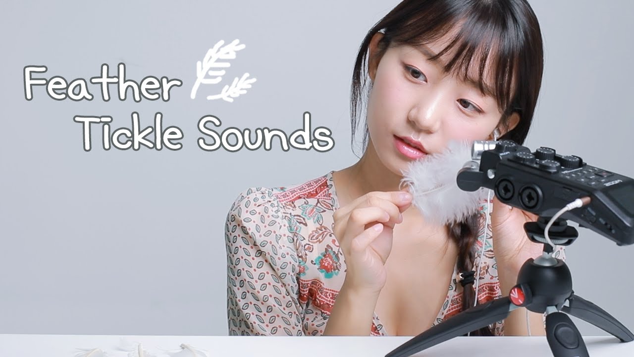 Milky 各种各样羽毛的声音 Milky 各种各样羽毛的声音