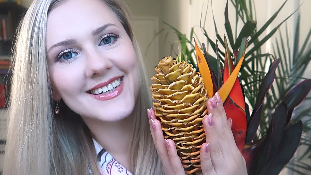 敲击植物 轻语Shampoo Plant ? ASMR ?