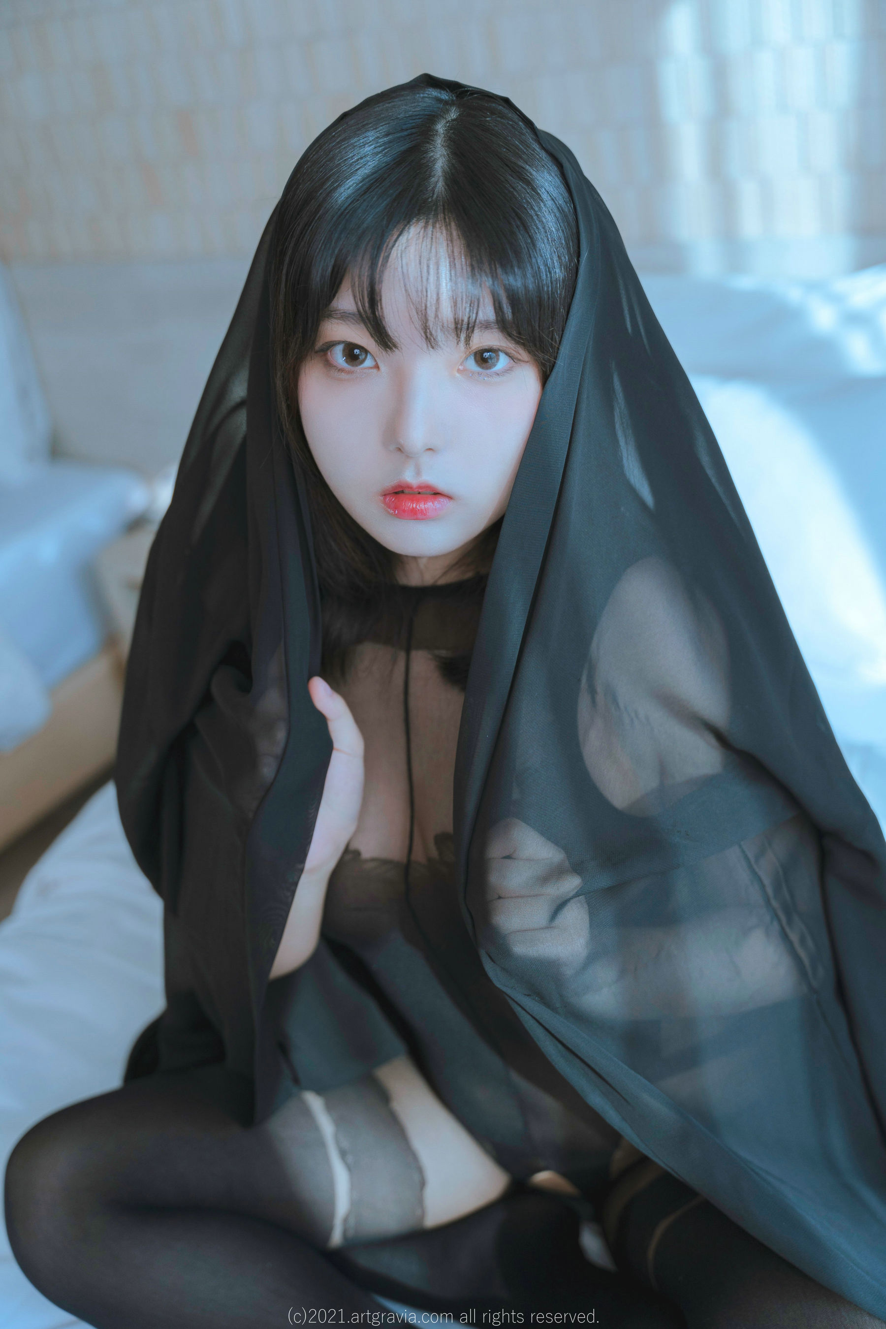 [ARTGRAVIA] Hansom_第2张