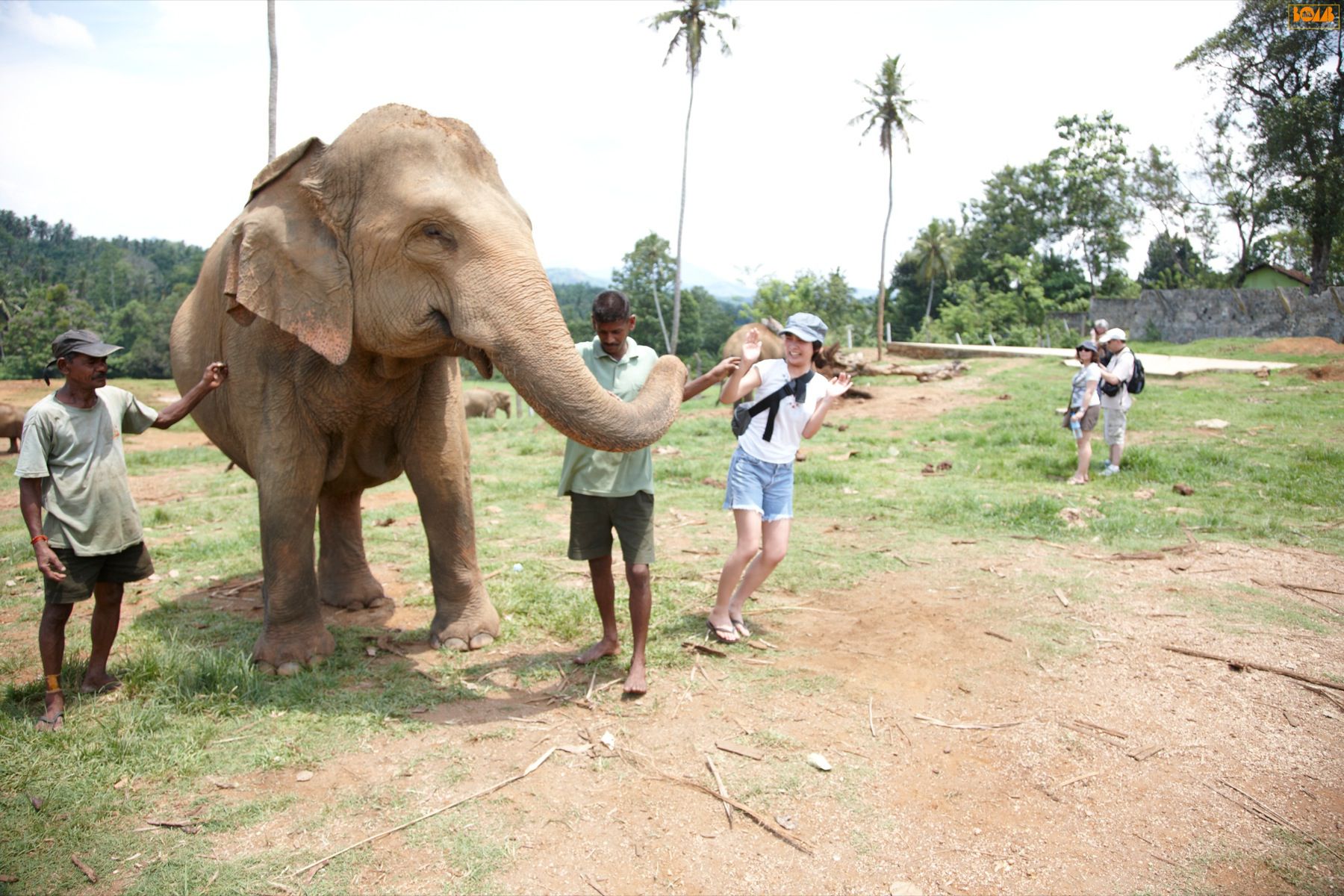 [Bomb.TV] 2010年10月刊 谷村美月 Mitsuki Tanimura_第4张