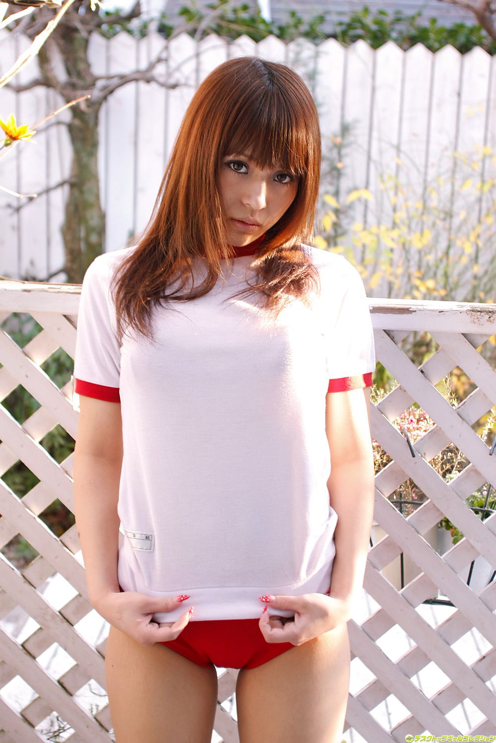 [DGC] NO.812 Ari Sakurazaki 桜咲愛利/樱咲爱利  制服美少女天国_第1张