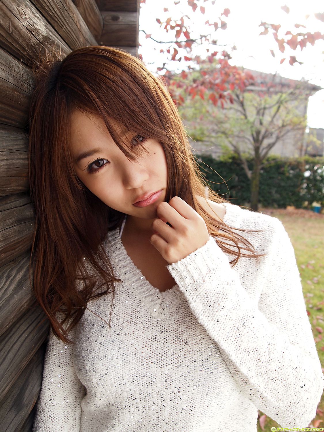 [DGC] NO.915 Mai Nishida 西田麻衣 Gravure Idols_第3张