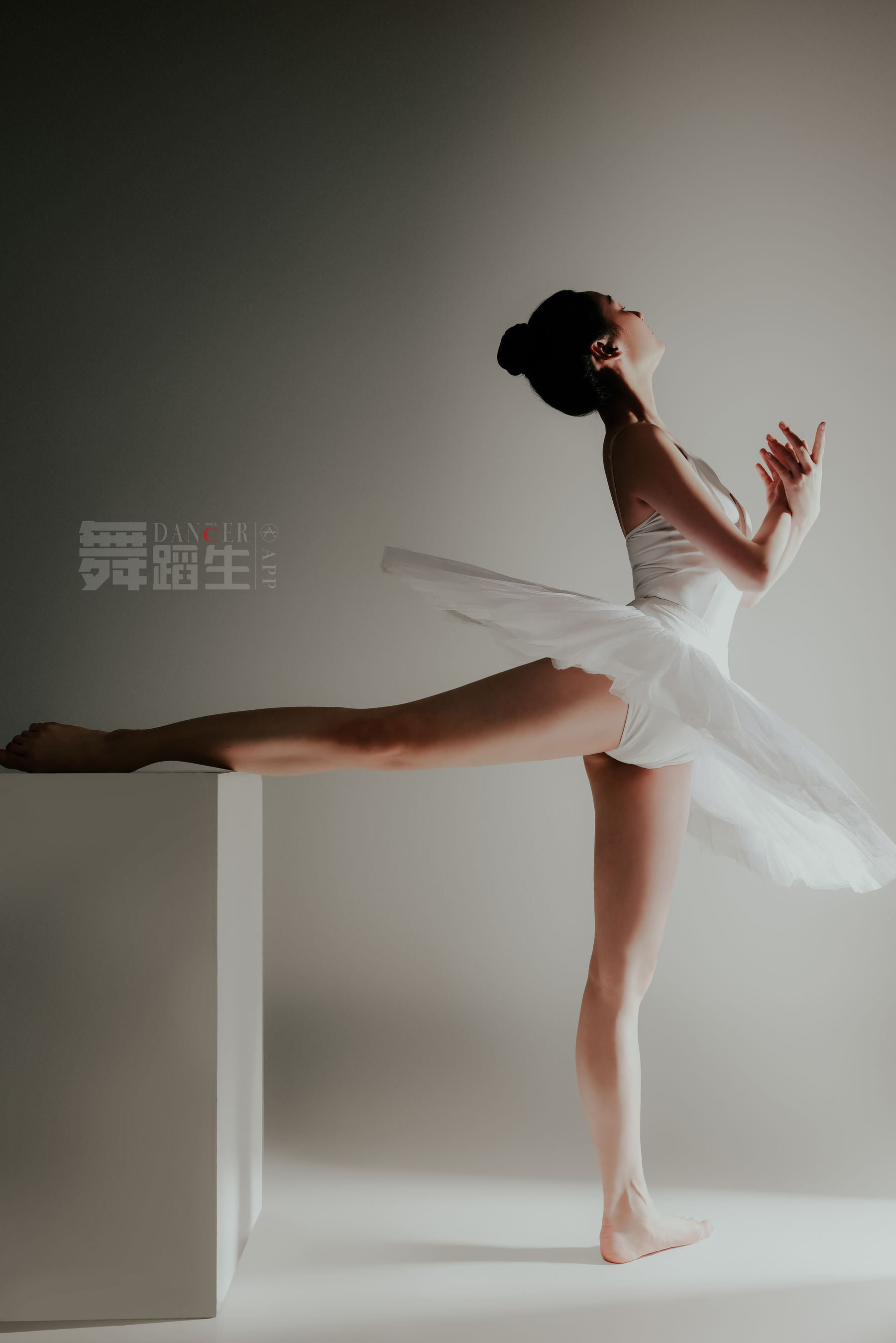 [嘉丽GALLI]舞蹈生日记 086 余羽_第2张