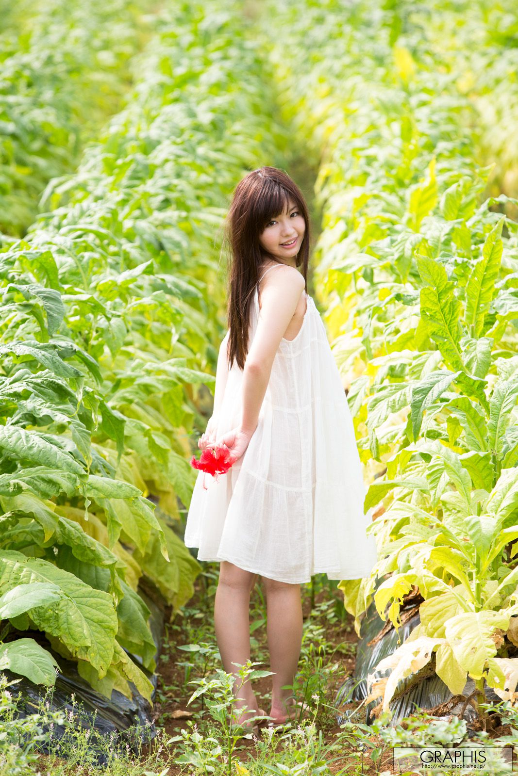 葉山めい/叶山芽衣 [Graphis] First Gravure 初脱ぎ娘_第3张