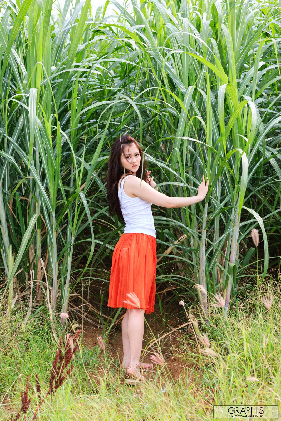 Beni Ito 伊东红 [Graphis] First Gravure 初脱ぎ娘_第3张