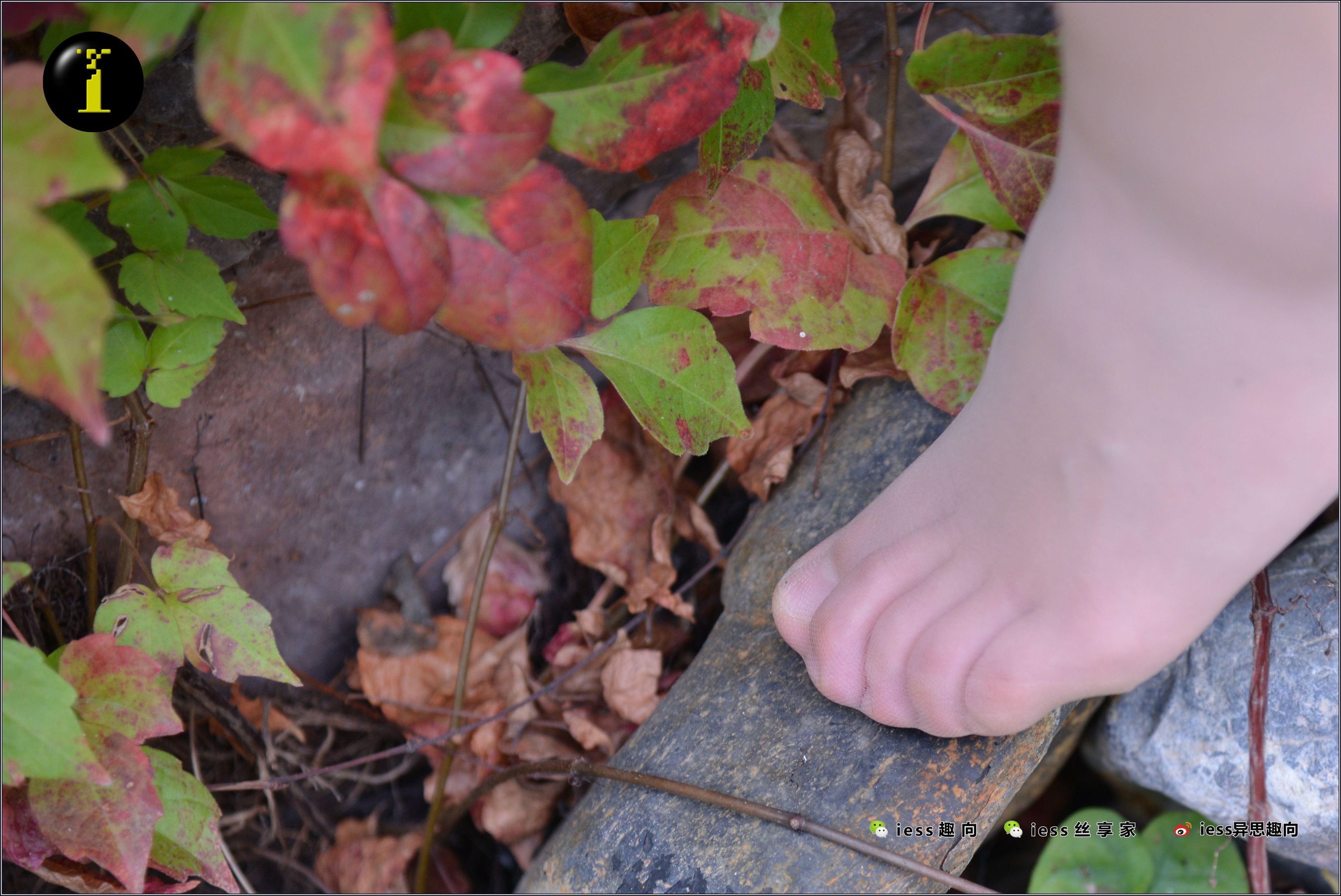 [IESS普惠集] 034 模特小捷 《银色高跟鞋》_第2张