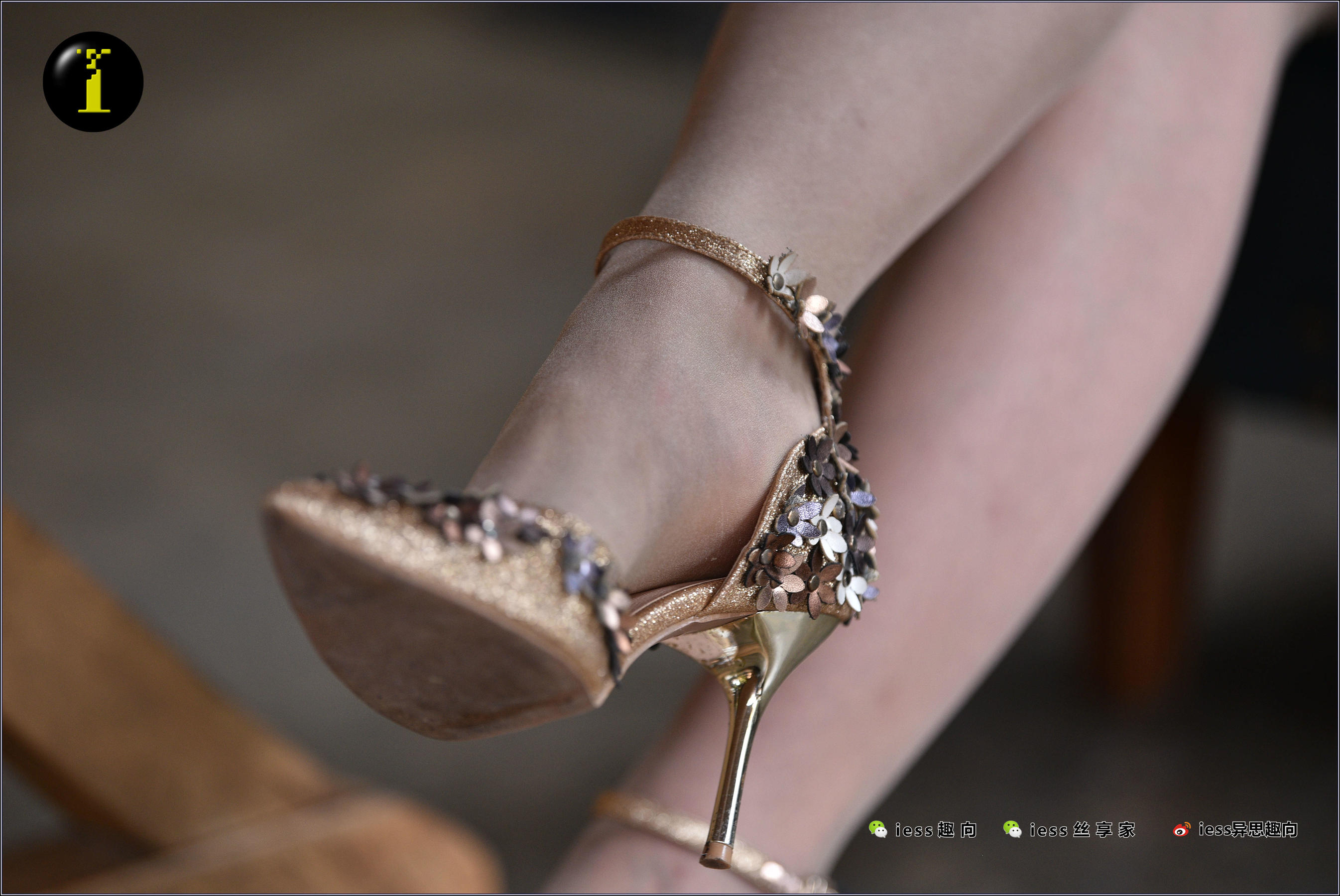 [IESS普惠集] 095 模特暖暖 《暖暖的黄金甲》_第3张