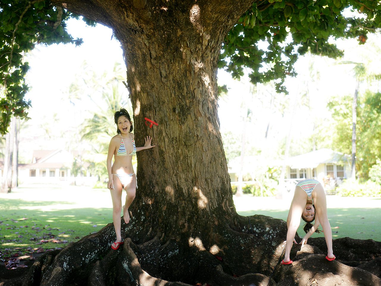 小野真弓 Mayumi Ono 《アロハ☆マインド》 [Image.tv]_第3张