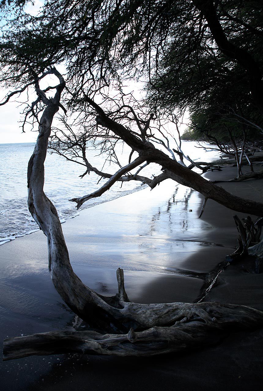 吉瀬美智子 Michiko Kichise 《silent beauty》 [Image.tv]_第5张