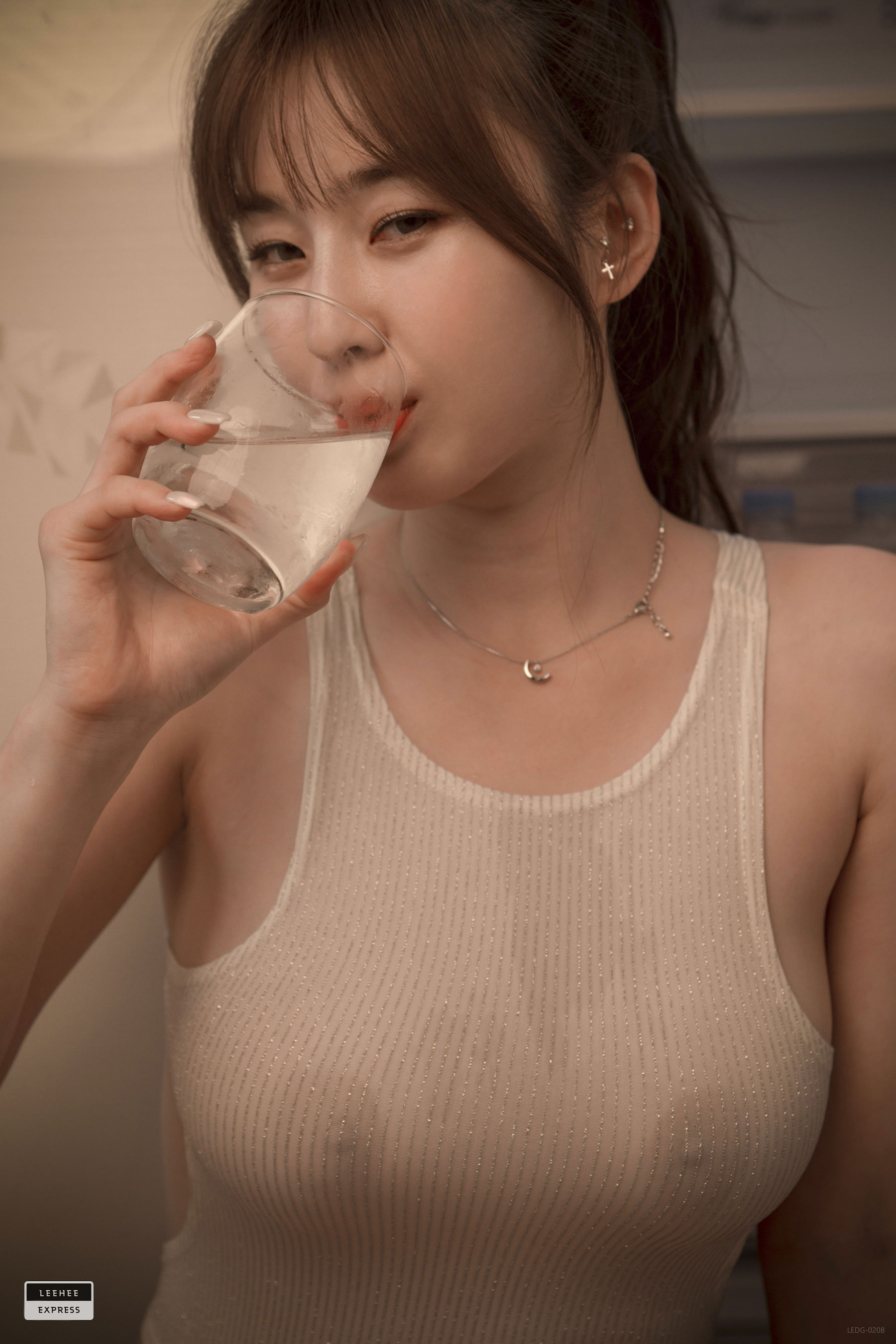 [LEEHEE EXPRESS]  LEDG-020B Woo_第1张