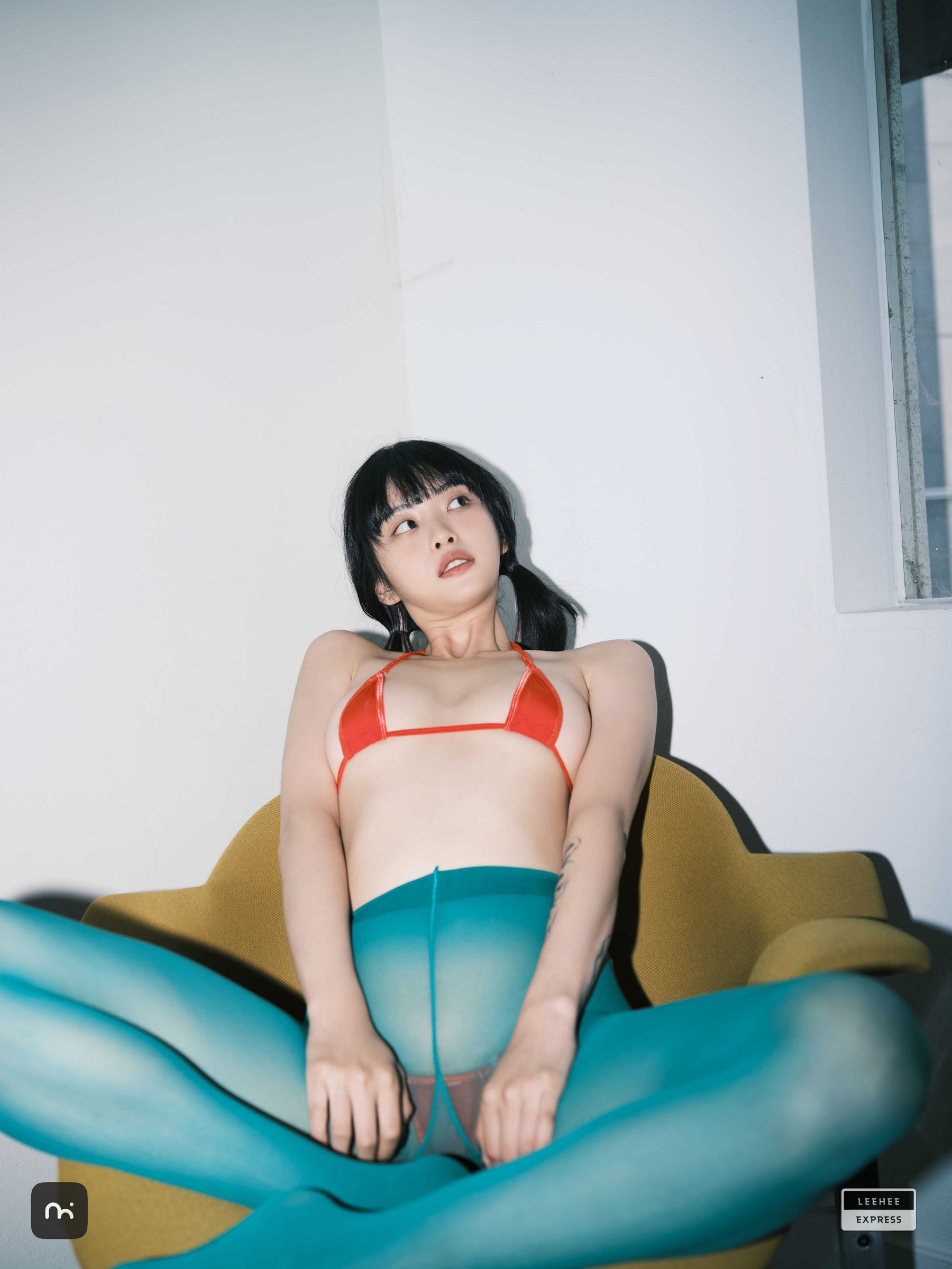 [LEEHEE EXPRESS] LEDG-195C - GMS_第2张