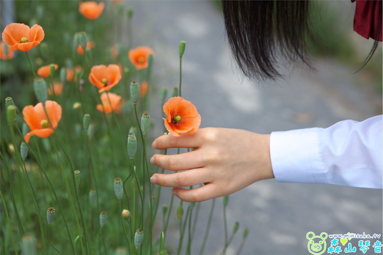 [Minisuka.tv] DreamGallery 森山琴音 Kotone Moriyama_第2张