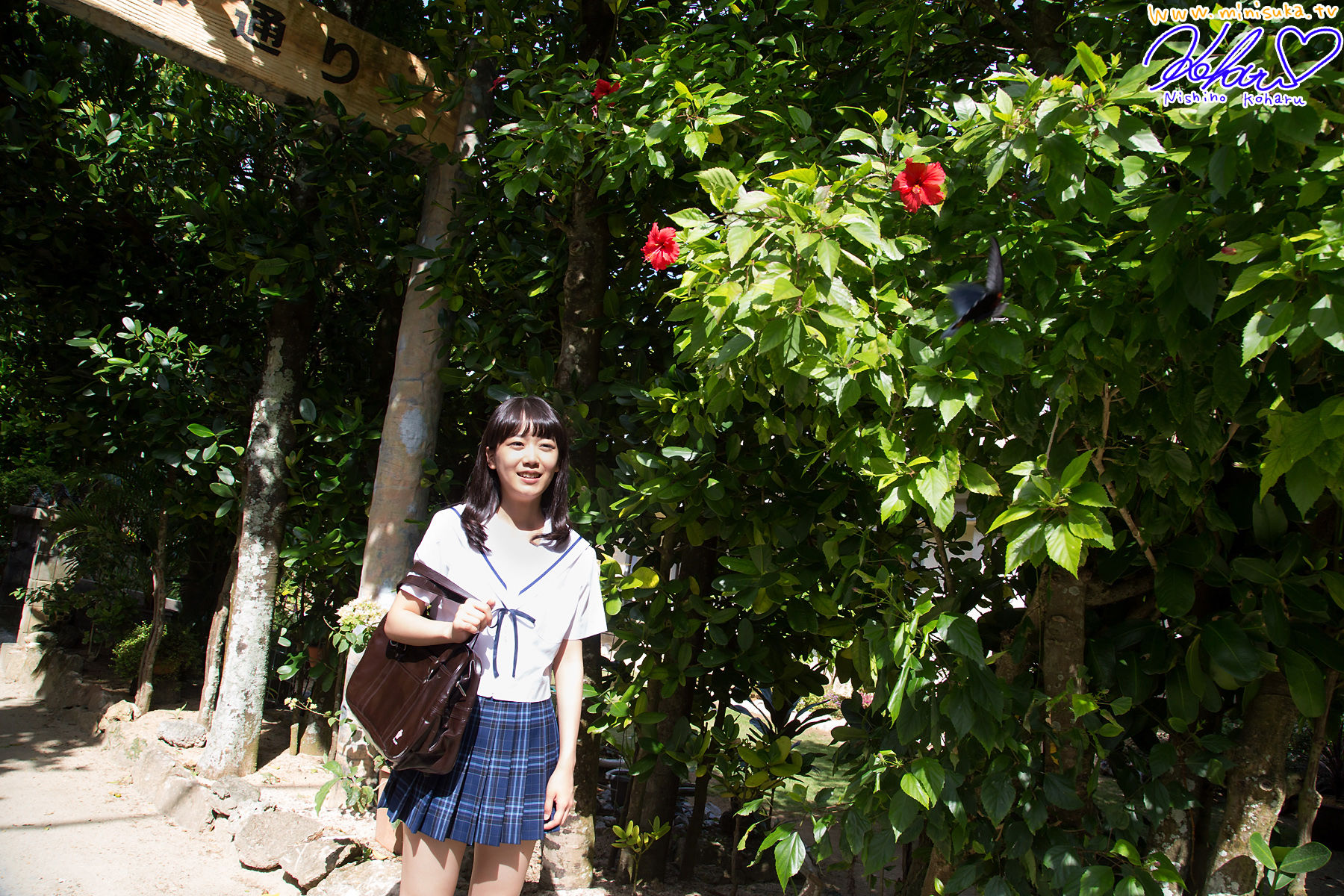 西野小春 Koharu Nishino 第十四部 Limited Gallery [Minisuka.tv]_第5张