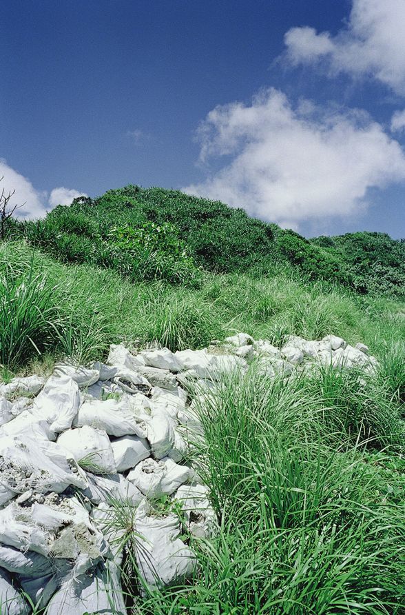 [NS Eyes] SF-No.163 Moemi Tominaga 冨永萌美_第1张