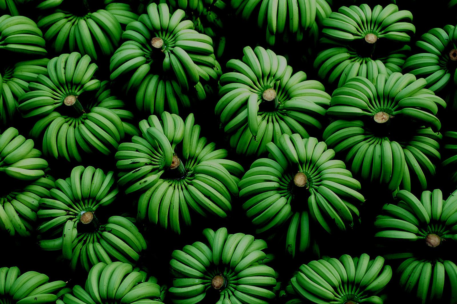 [NS Eyes] SF-No.209 Mari Hoshino 星野真理_第3张