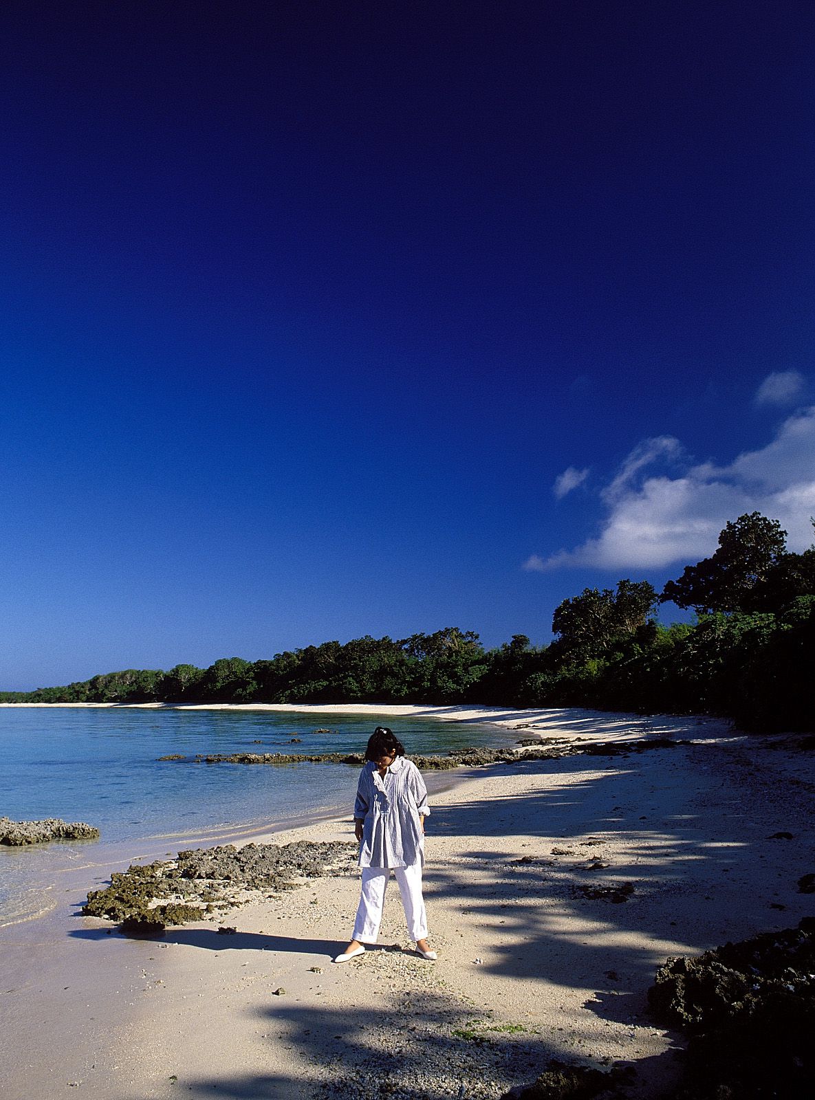 [NS Eyes] SF-No.214 Yoko Minamino 南野阳子_第2张