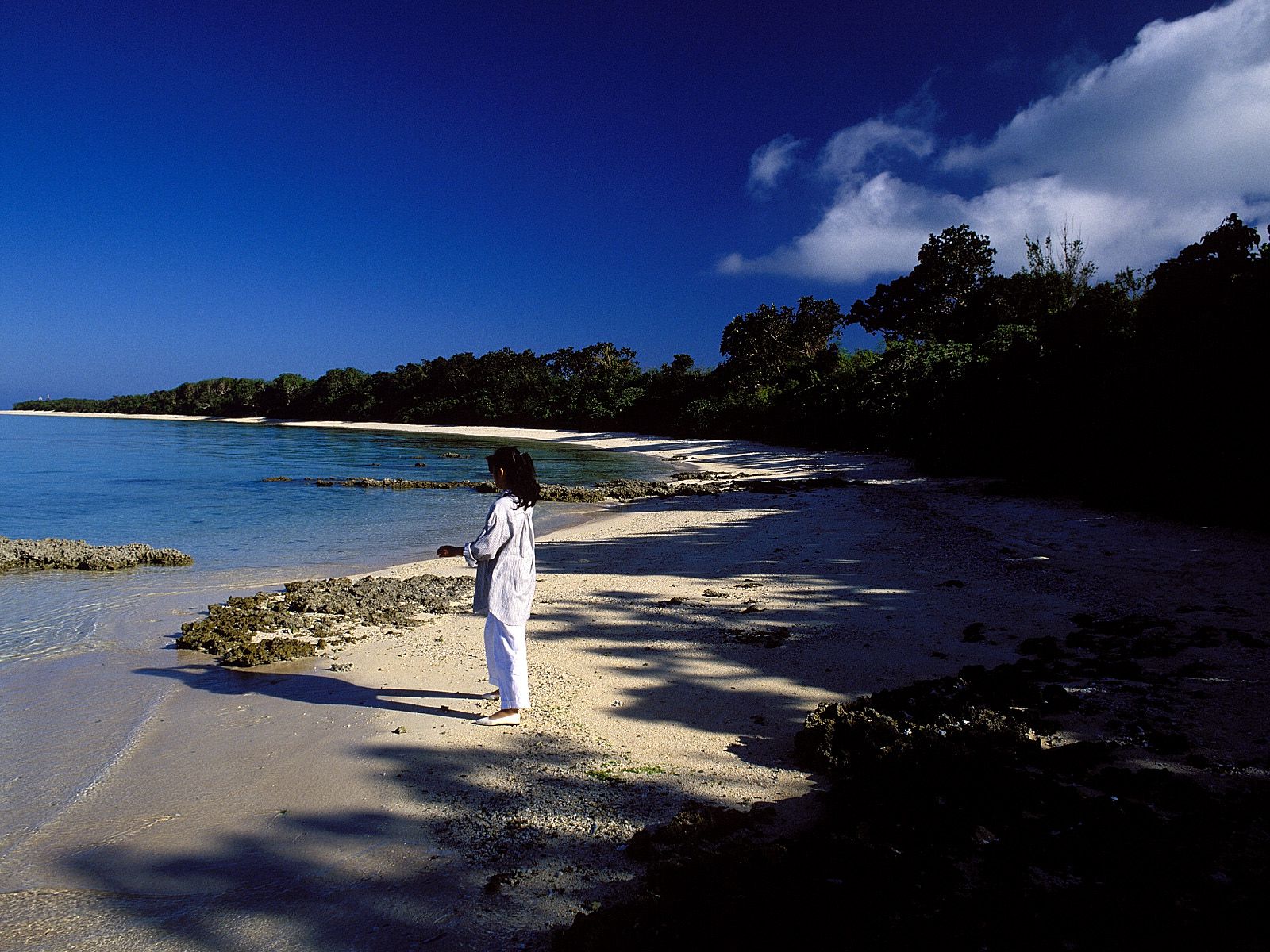 [NS Eyes] SF-No.214 Yoko Minamino 南野阳子_第4张