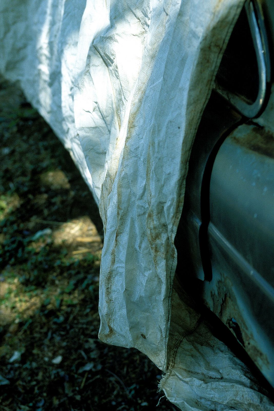 [NS Eyes] SF-No.219 Masako Umemiya 梅宮万紗子_第3张