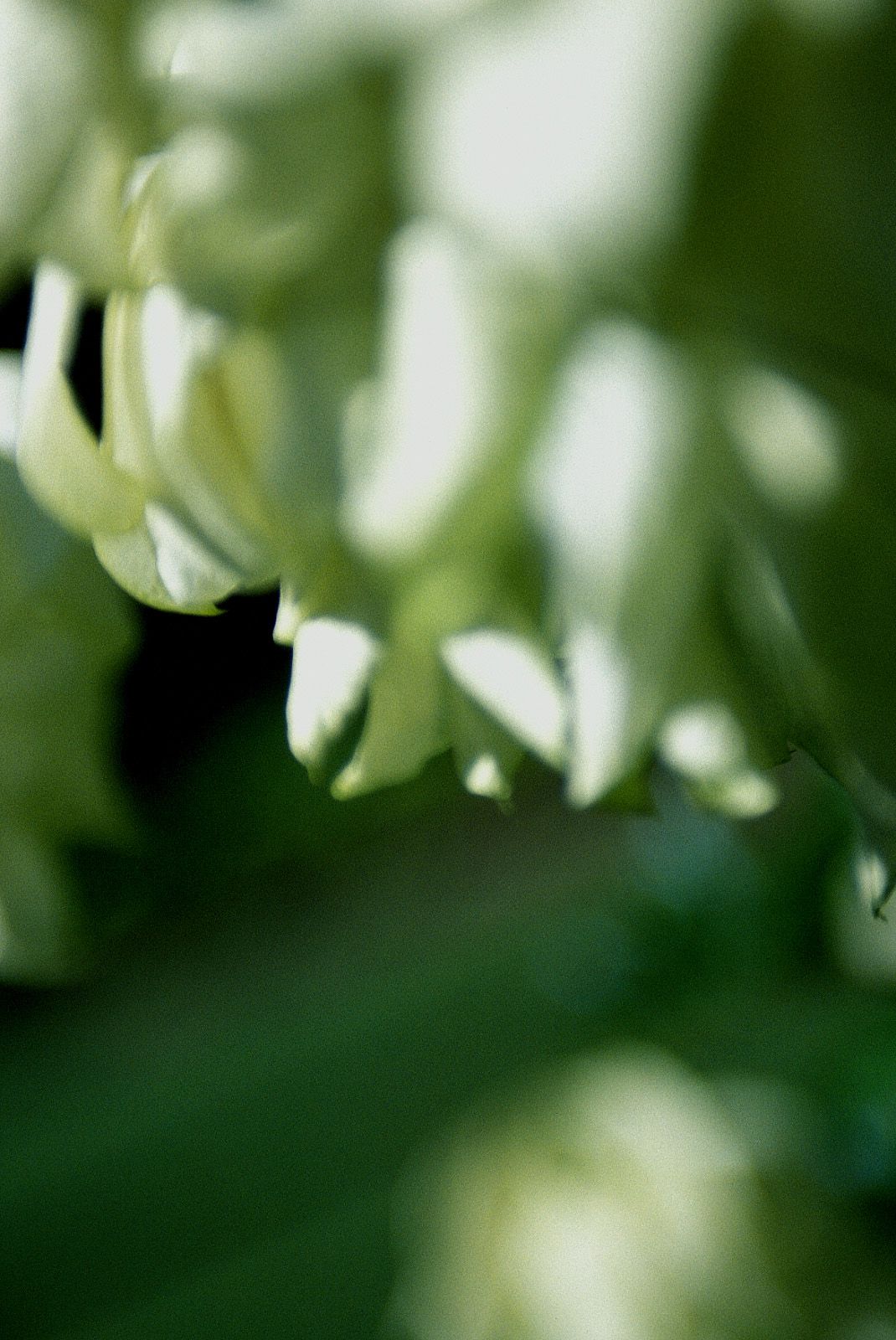 [NS Eyes] SF-No.234 熊田曜子《P-Girl 》_第2张