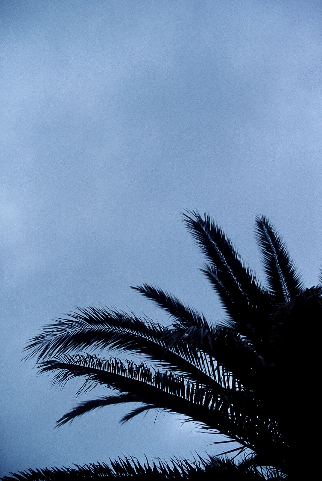 [NS Eyes] SF-No.266 Miyuu Inaba 稻葉美優&Minori Kousaki 紅咲美乃里_第4张