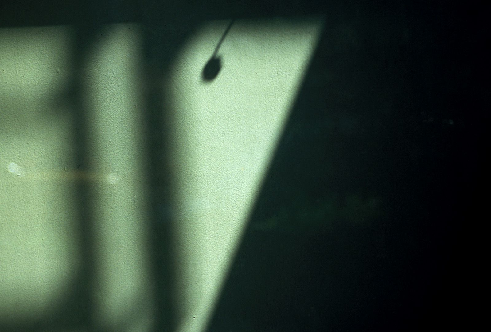 [NS Eyes] SF-No.283 Sayaka Tatsuta 辰田さやか_第5张