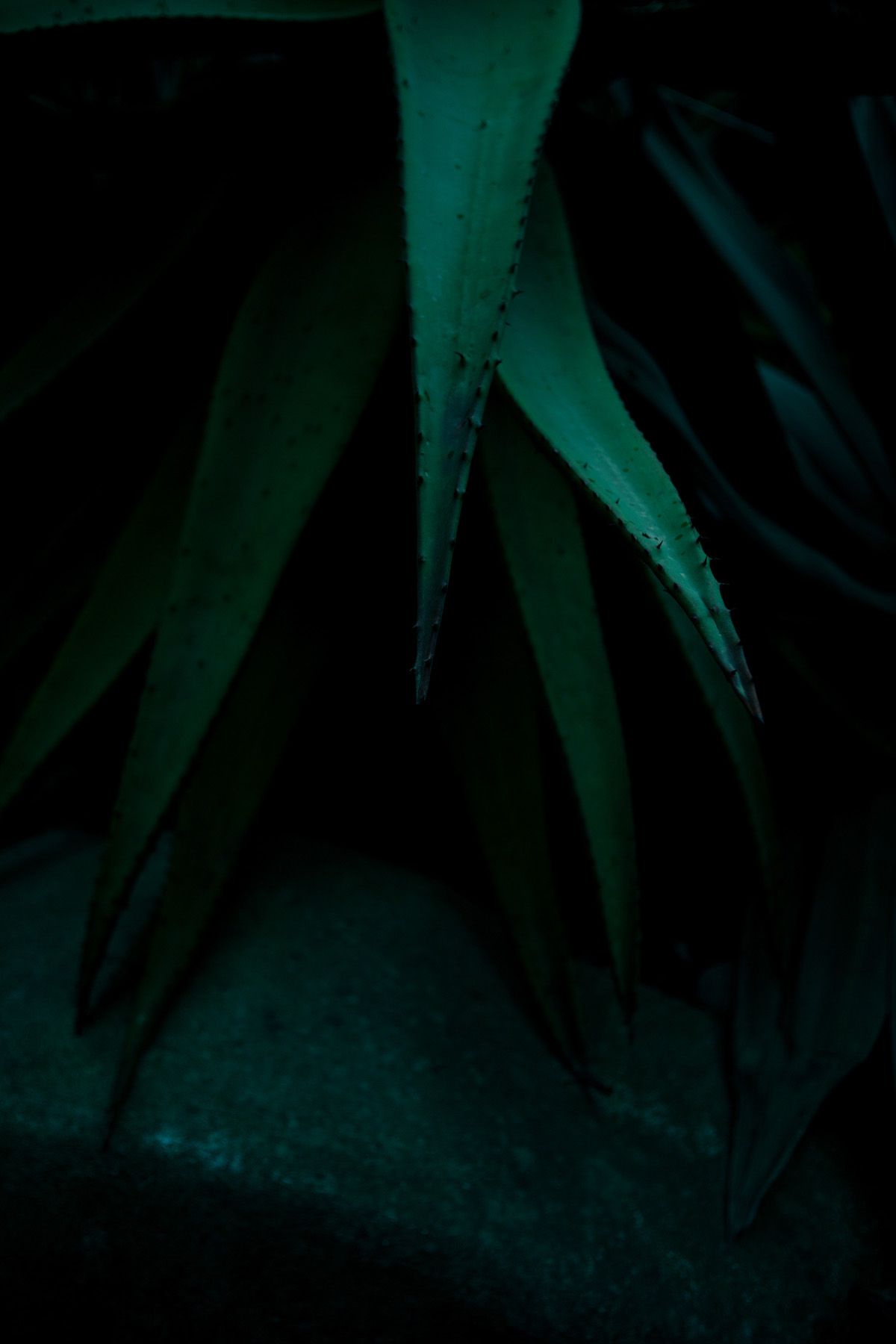 [NS Eyes] SF-No.350 原田夏希 Natsuki Harada_第4张