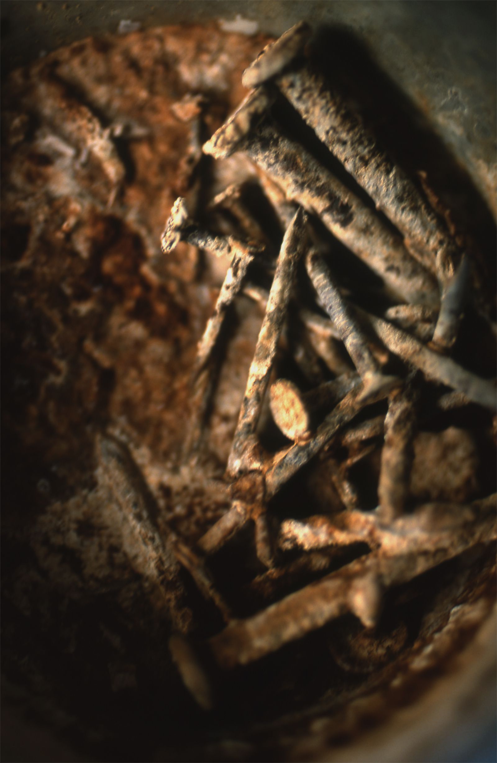 [NS Eyes] SF-No.382 Akiko Yada 矢田亚希子/矢田亜希子_第3张