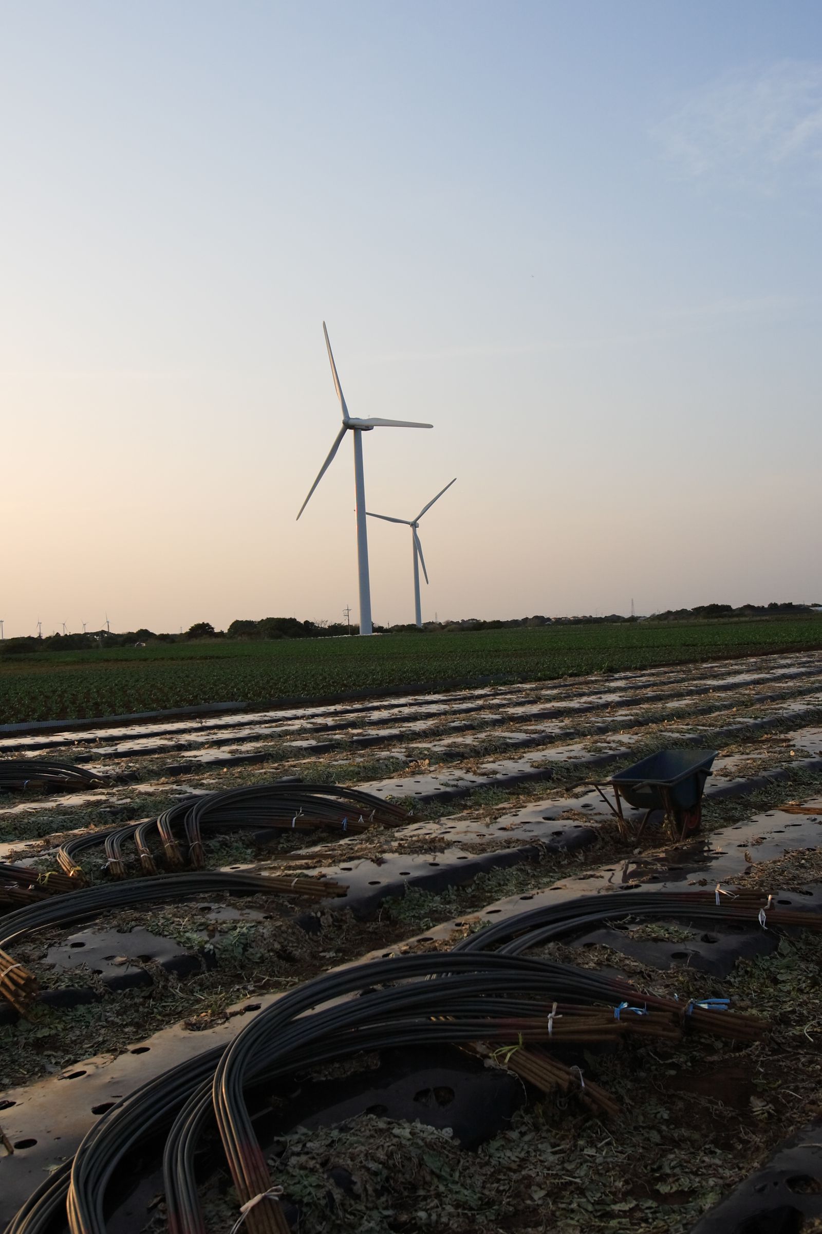 [NS Eyes] SF-No.438 Miho Sugiura 杉浦美帆_第1张