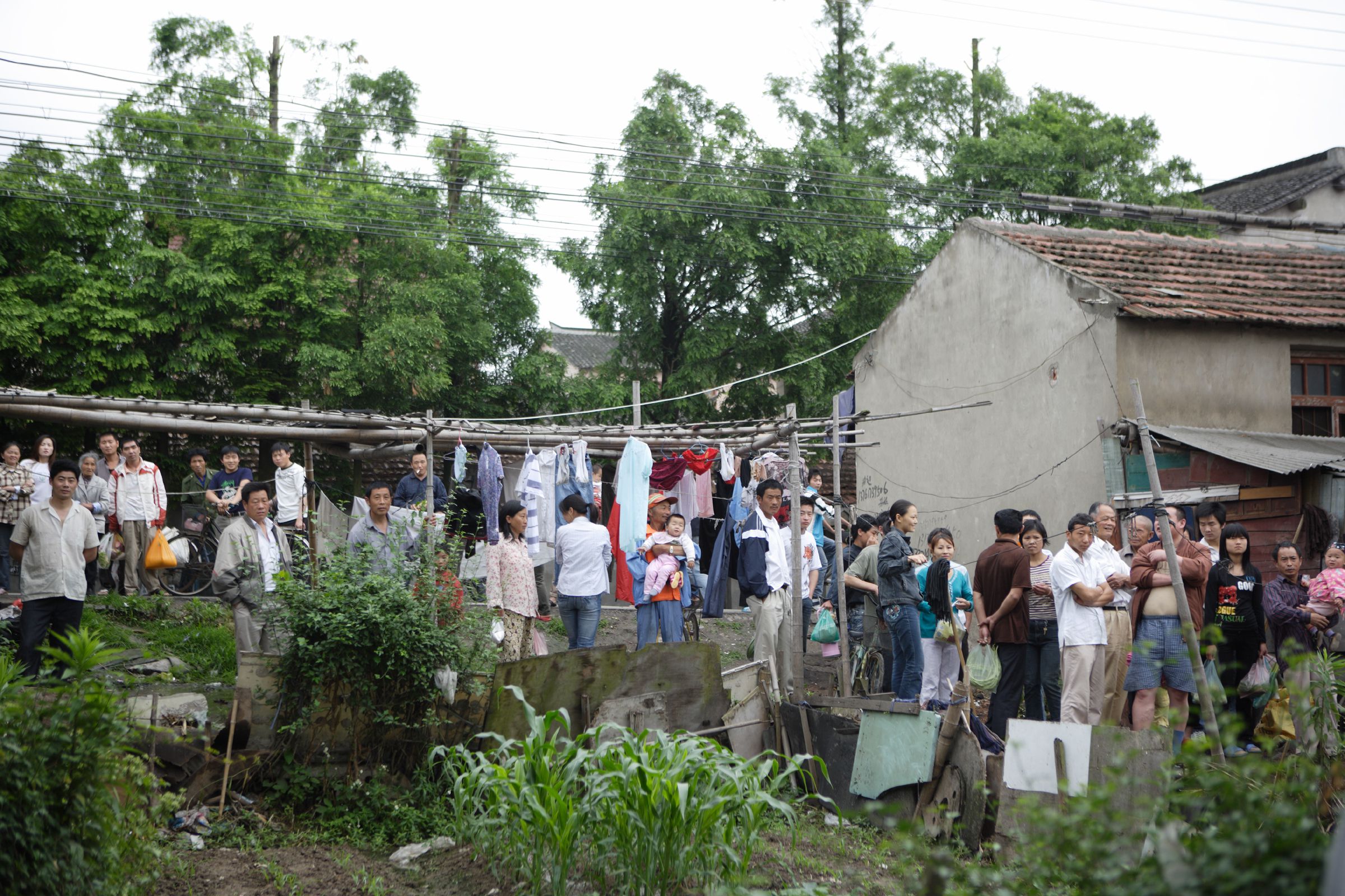 [NS Eyes] SF-No.441 Nonami Takizawa 滝沢乃南/泷泽乃南_第1张