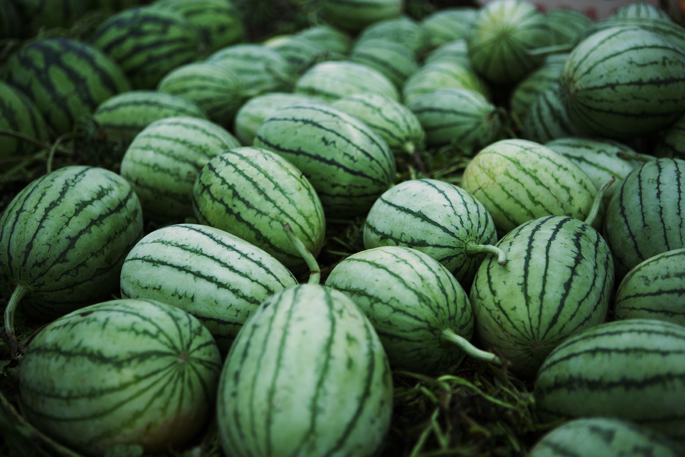 [NS Eyes] SF-No.441 Nonami Takizawa 滝沢乃南/泷泽乃南_第4张