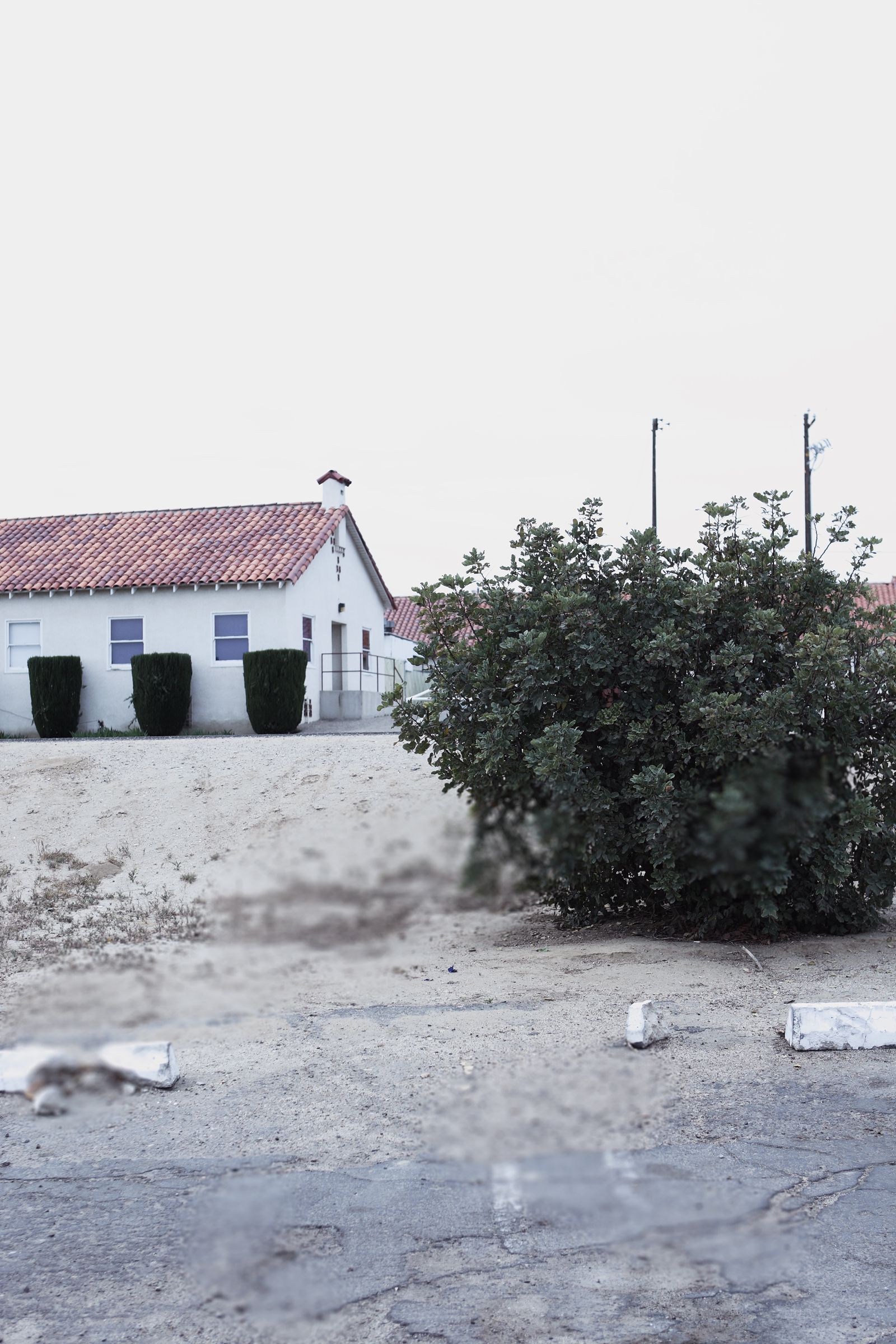 [NS Eyes] SF-No.487 Aki Hoshino ほしのあき/星野亚纪_第3张