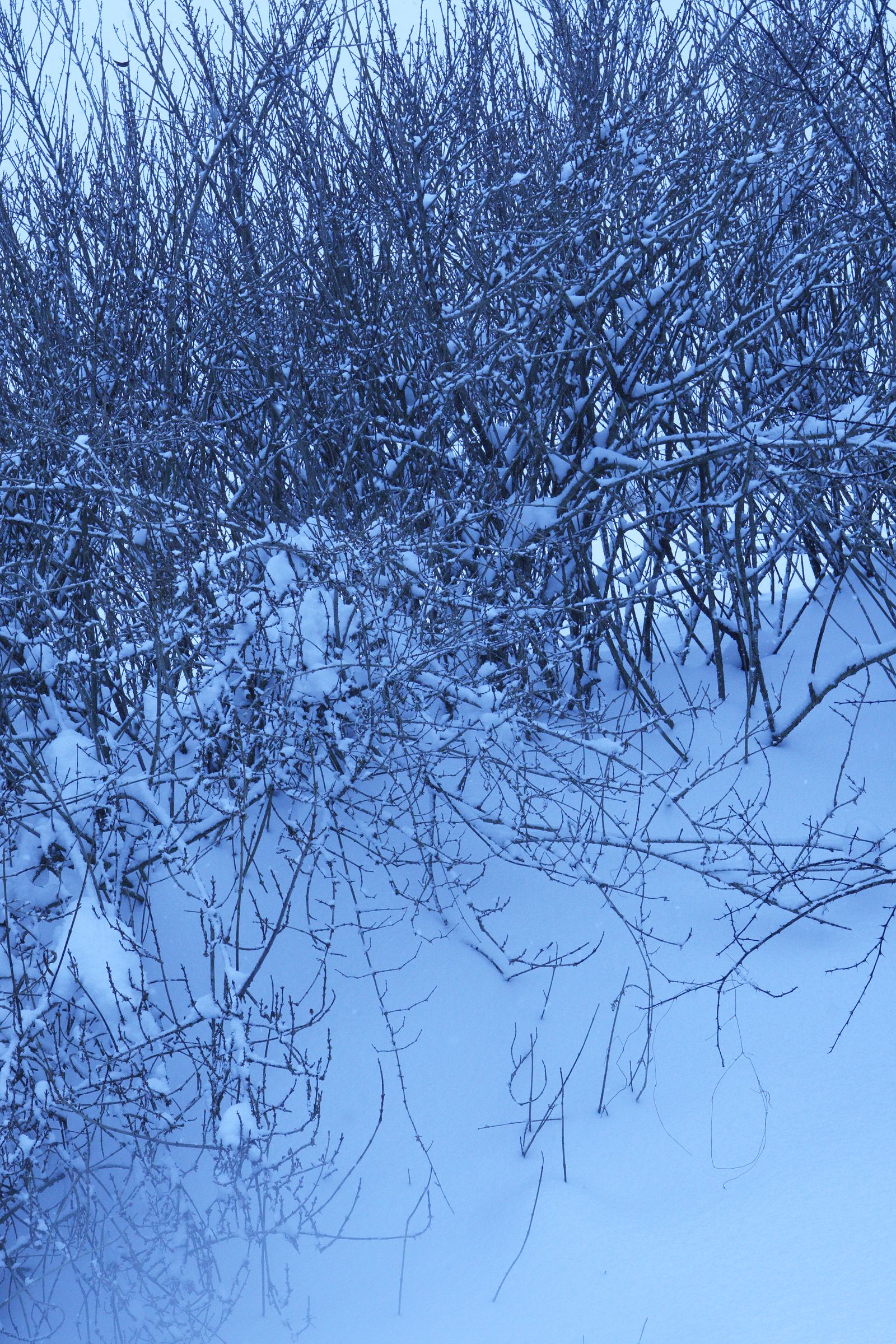 [NS Eyes] SF-No.490 Natsumi Yoshioka 吉岡奈都美_第1张