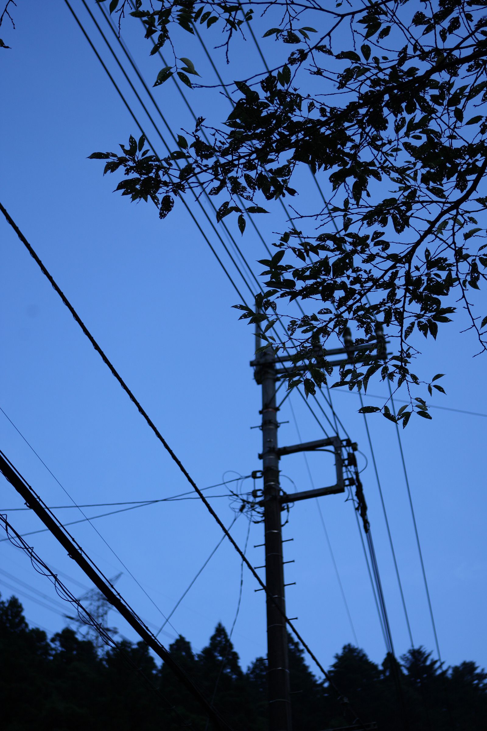 [NS Eyes] SF-No.507 Emika Sagesaka 提坂笑加_第3张