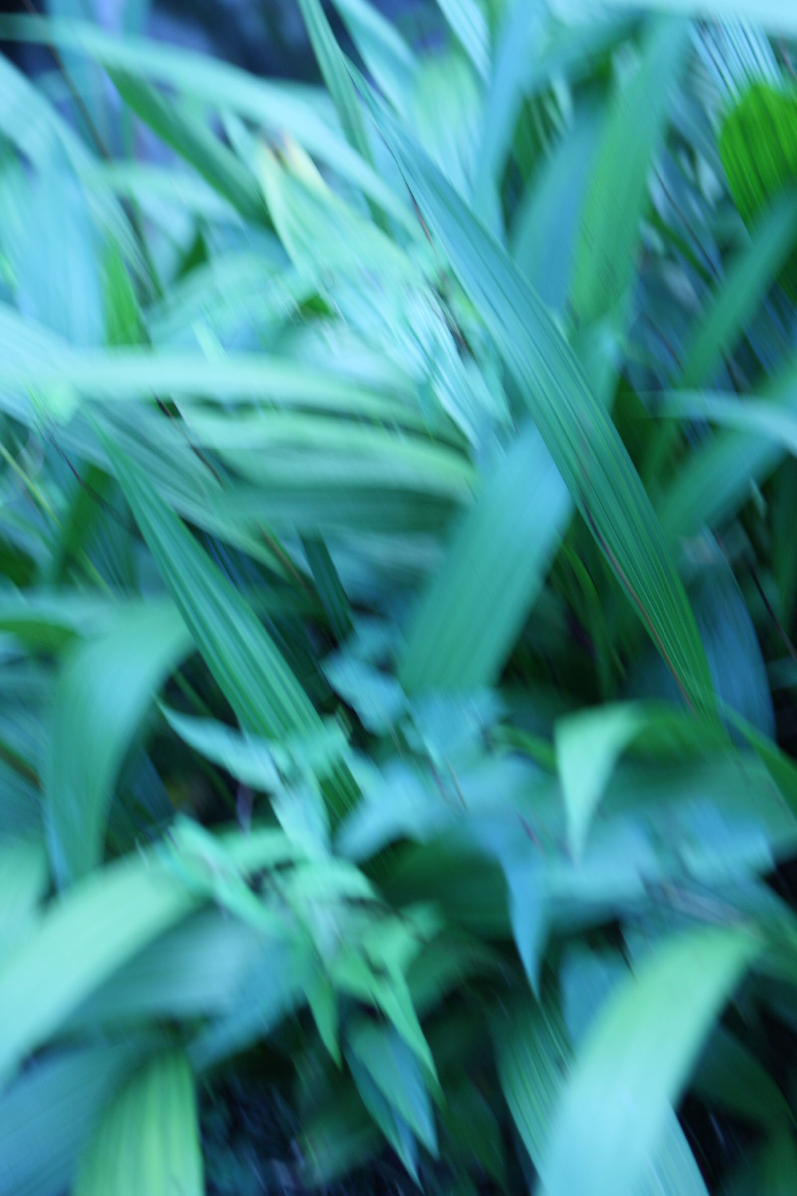 [NS Eyes] SF-No.507 Emika Sagesaka 提坂笑加_第5张