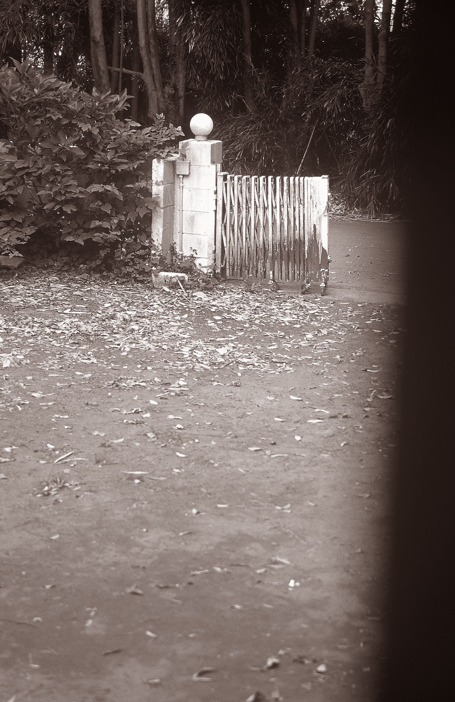 [NS Eyes] SF-No.522 Yoko Watanabe 渡辺洋香/渡边洋香_第2张