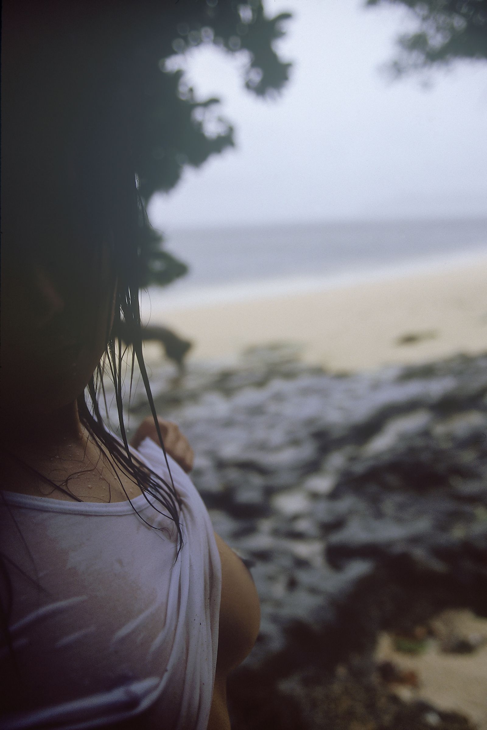 [NS Eyes] SF-No.529 Sora Aoi 蒼井そら/苍老师_第1张