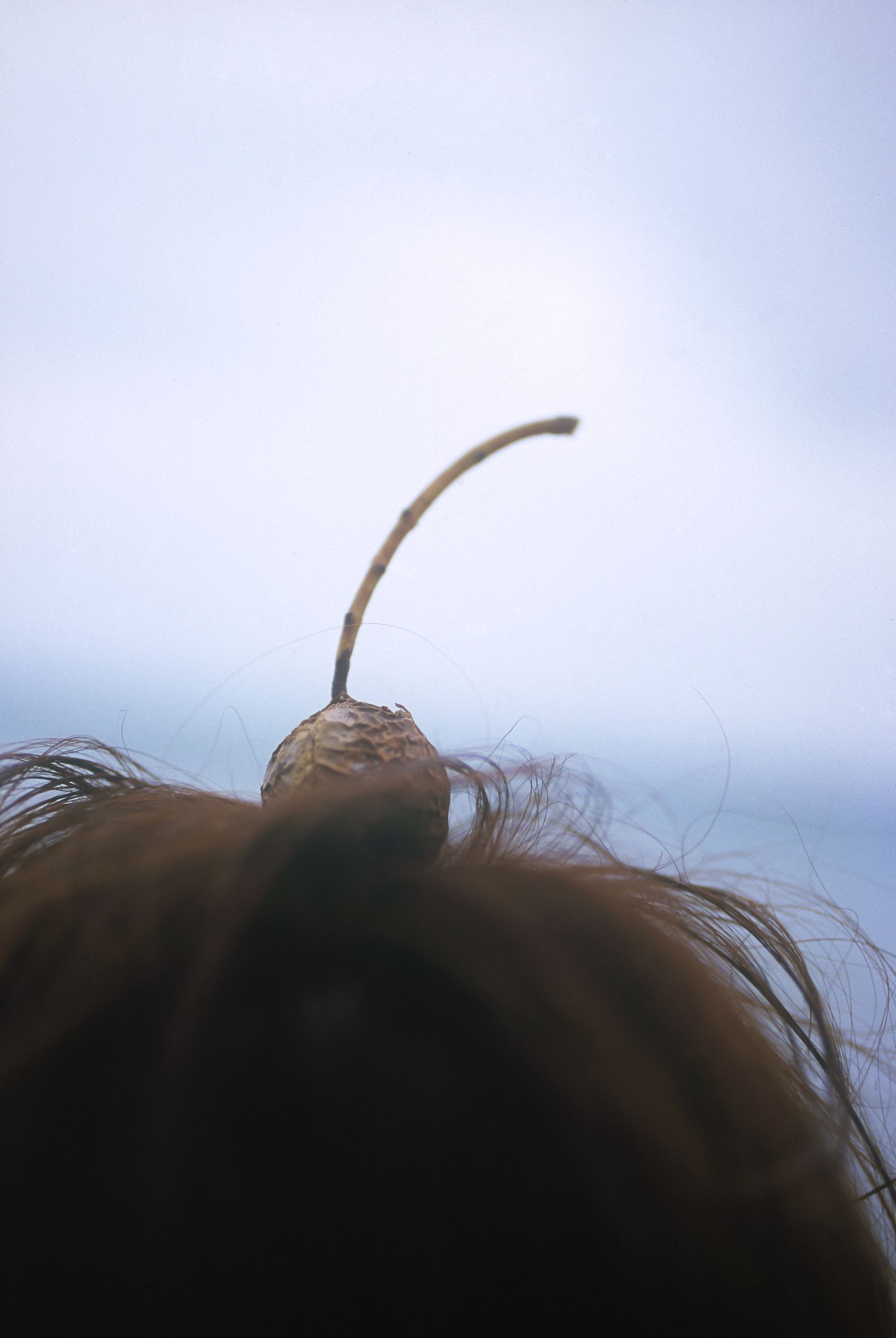 [NS Eyes] SF-No.587 Honoka 穗花_第2张