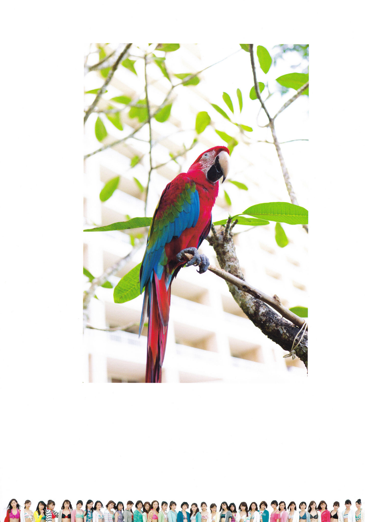 乃木坂46《极品正统清纯少女组合》 [PhotoBook]_第2张