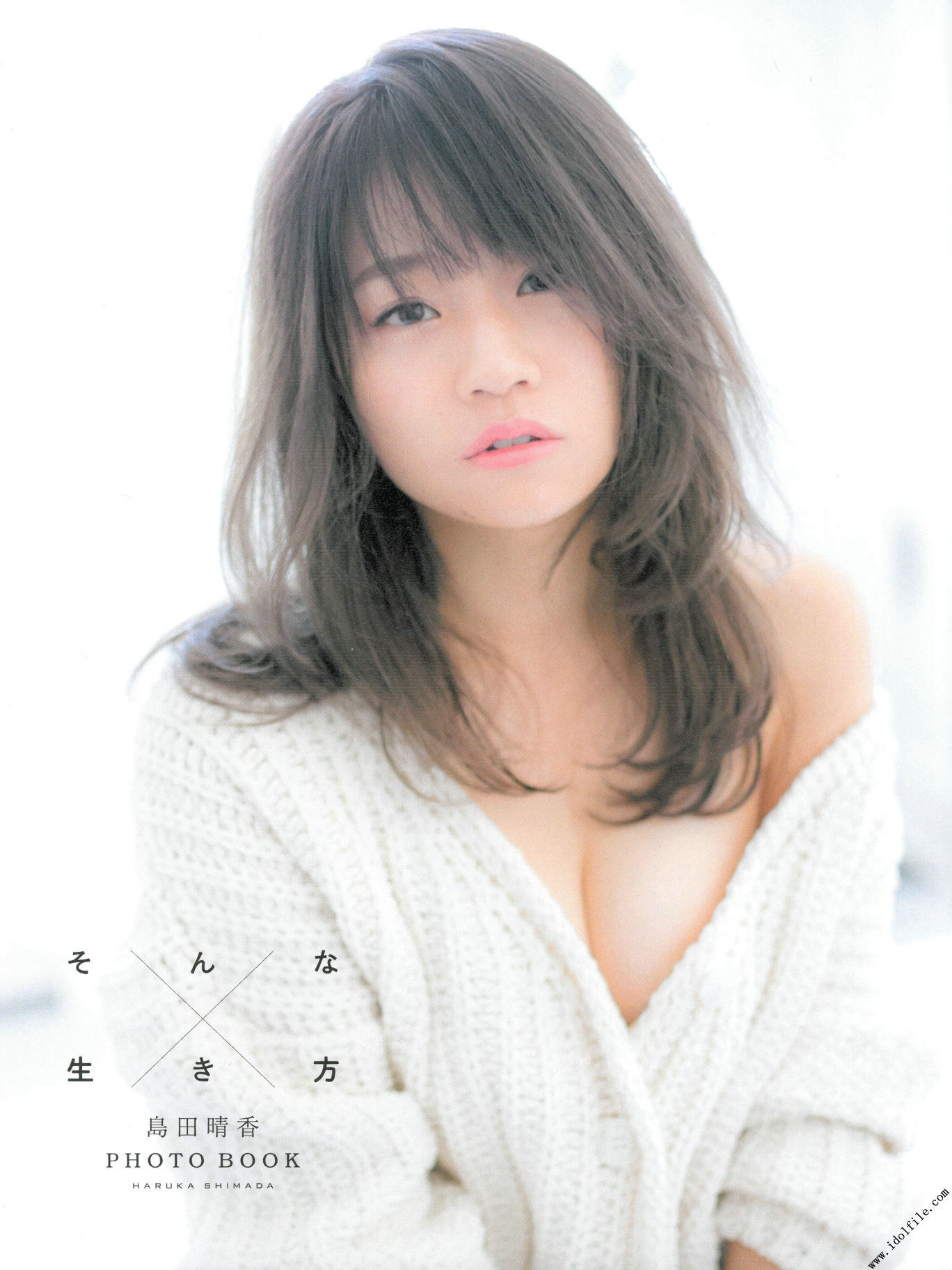 島田晴香「そんな生き方」[PhotoBook]_第2张