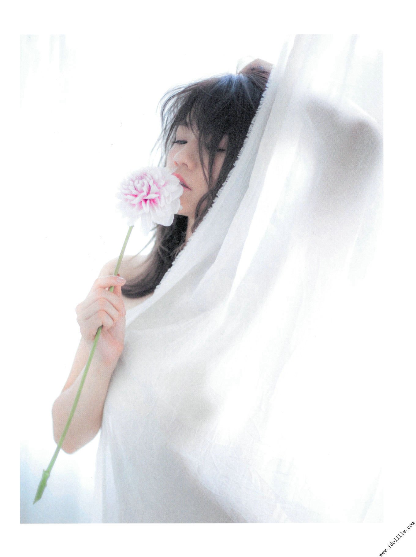 島田晴香「そんな生き方」[PhotoBook]_第3张